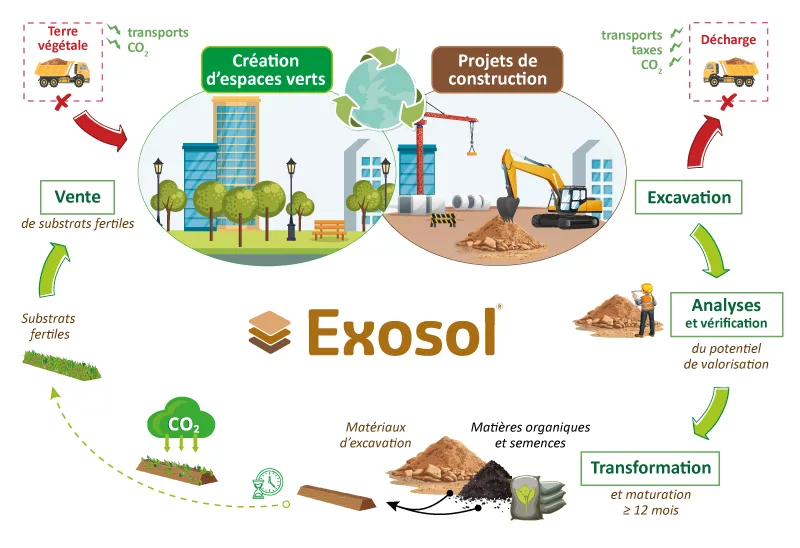 Exosol processus