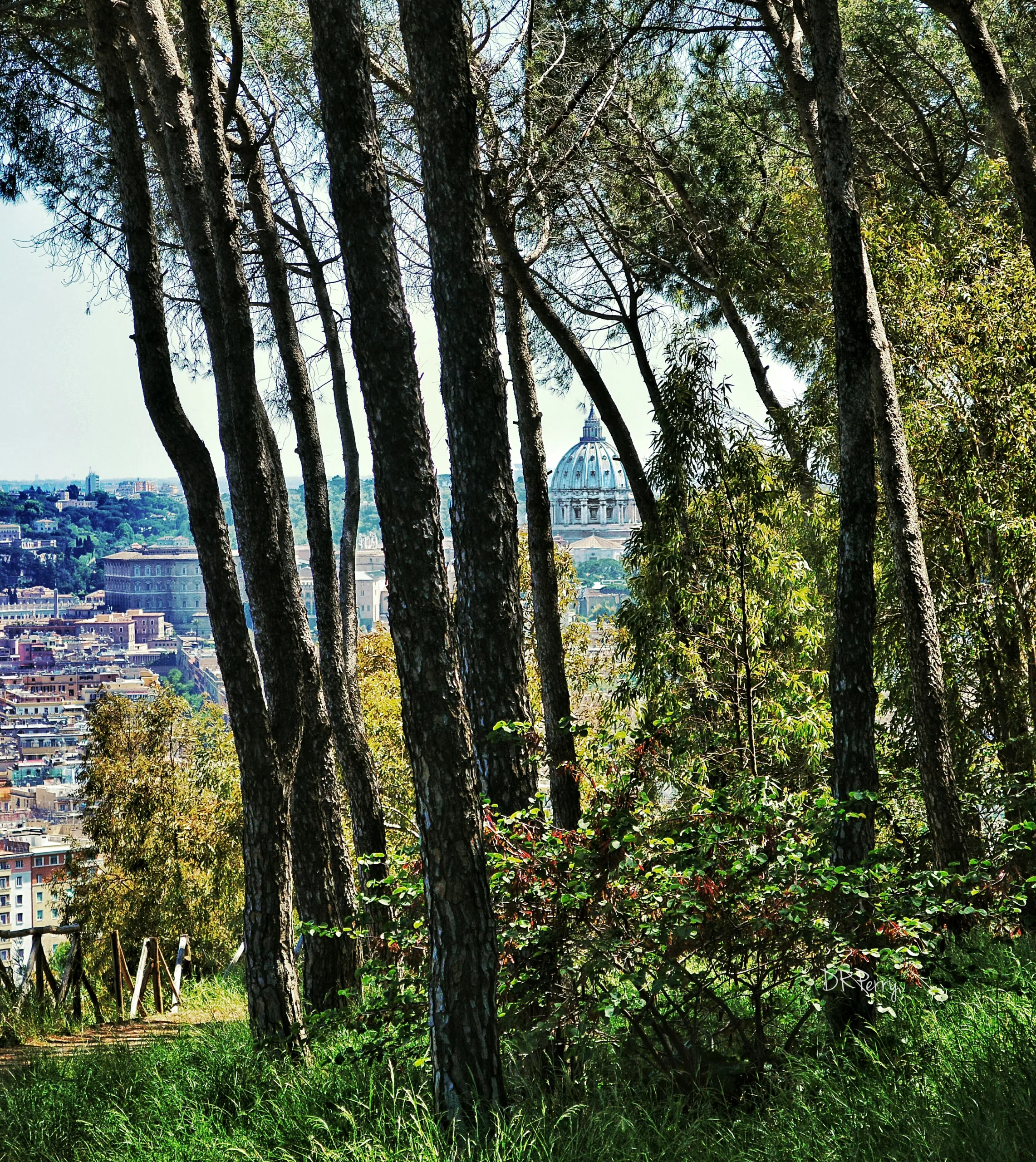 Paris forêt urbaine
