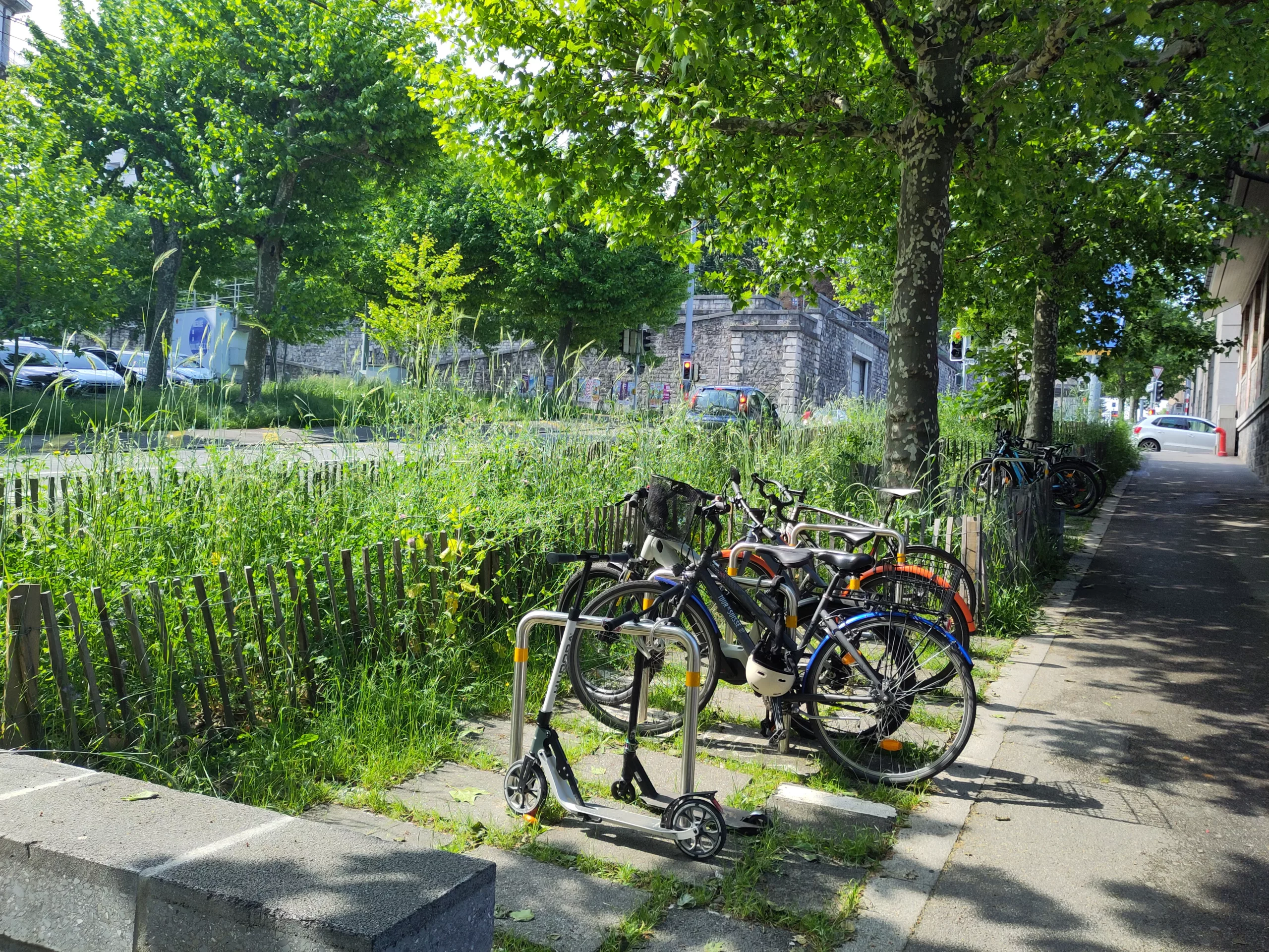 végétation en ville