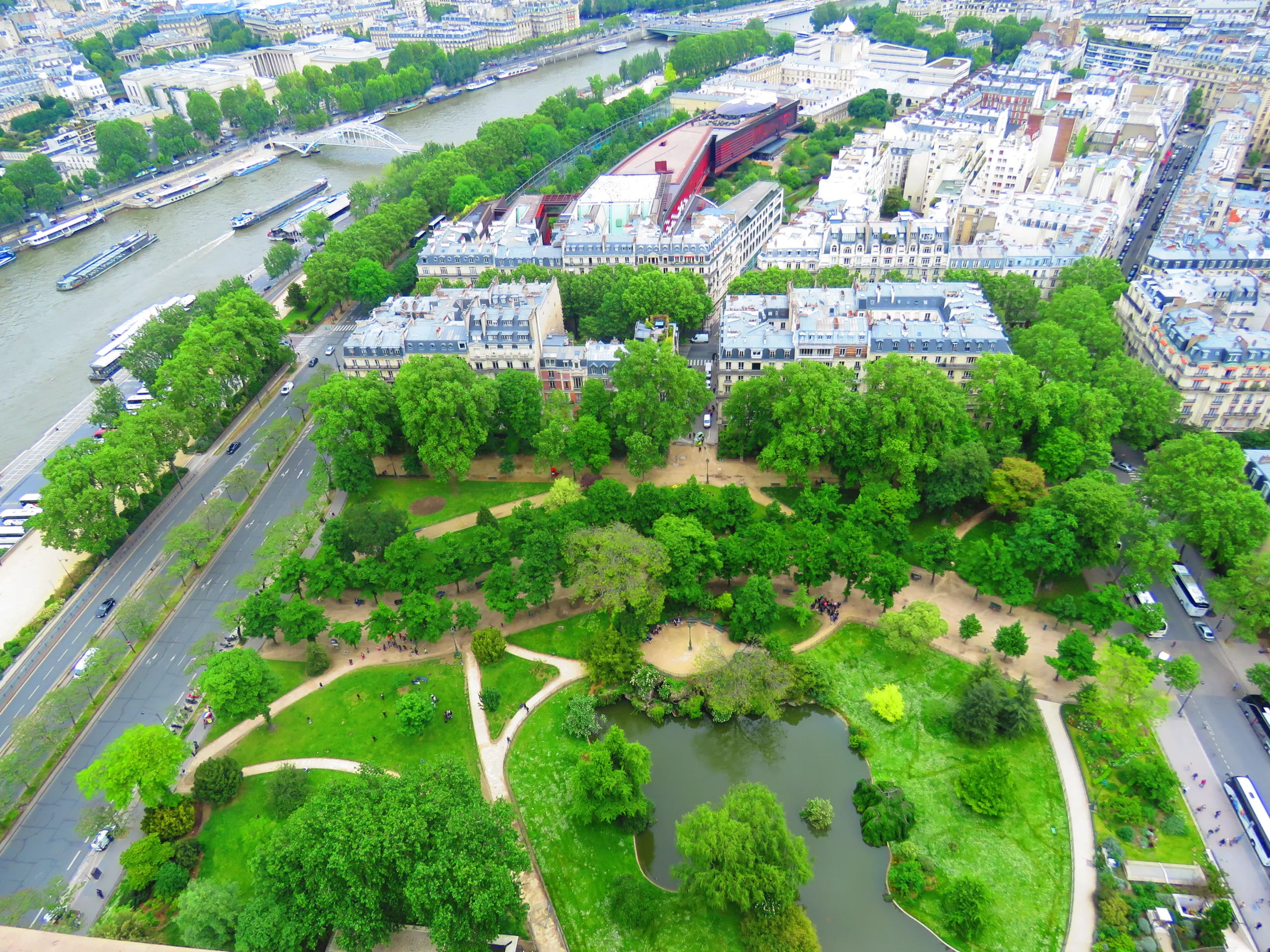 le bon arbre au bon endroit - végétation urbaine